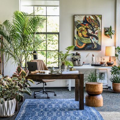 An office filled with houseplants